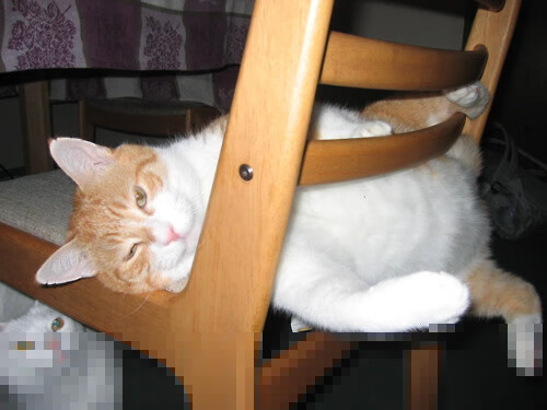 _青少年攀岩节:登上梦想的高峰_,青少年攀岩视频比赛视频